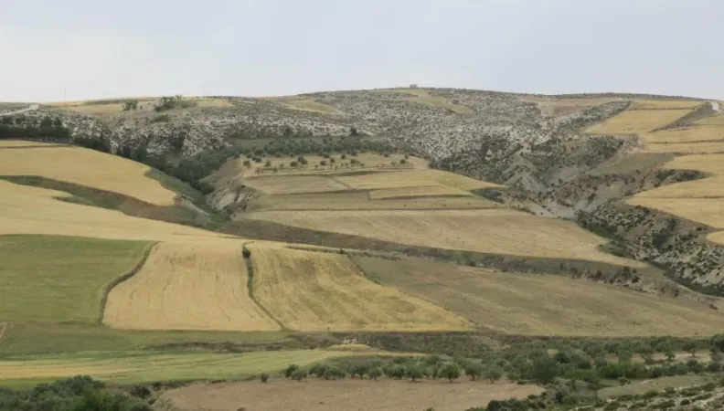 Call for research projects on adaptation in the Mediterranean region